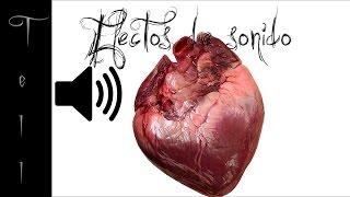 Latidos del corazón  Efecto de sonido [upl. by Ajna]