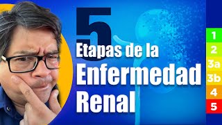 ✅ La verdad sobre los estadios de la Enfermedad Renal Crónica ¿Indican la gravedad de tu condición👀 [upl. by Bj881]