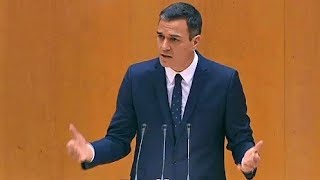 quotSubirán 25 los salarios de los fucionariosquot Pedro Sánchez en el Senado [upl. by Scrivens]