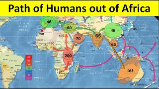 Map of Human Migration out of Africa [upl. by Drofhsa]