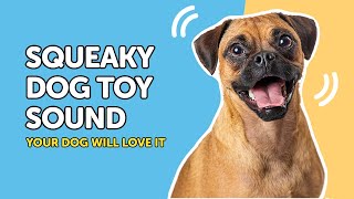 Your Dog Will Go CRAZY Over These Squeaky Sounds 🤩 [upl. by Rockwood886]