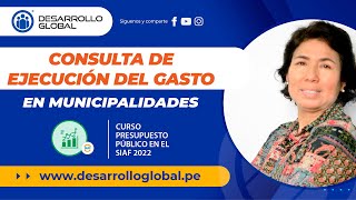 Consulta de Ejecución del Gasto en Municipalidades [upl. by Tenahs]