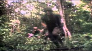 Vietnam Combat Footage [upl. by Yelsgnik]