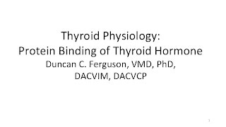 Thyroid Physiology Protein Binding of Thyroid Hormone [upl. by Finnigan]