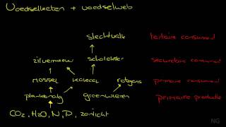 284  Voedselketen en voedselweb [upl. by Abbey]