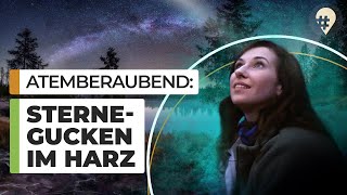 Sterne beobachten  Wo geht das Lyriden schauen  Harz  hinREISEND [upl. by Rebak]