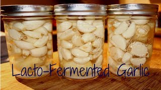 Fermenting Garlic [upl. by Annovy271]