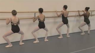 How To Practice The Plie Ballet Position [upl. by Mil651]