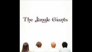 The Jungle Giants  One Of These Days [upl. by Anrehs]