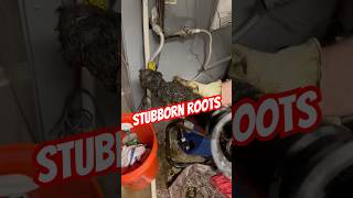 The WORST clogged pipes I’ve ever seen😱 roots cloggeddrain anyhourservices homeowner [upl. by Roose]