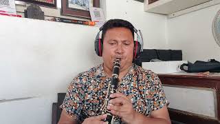 Galti hajar hunchan  Narayan Gopal  Clarinet Cover [upl. by Hein315]