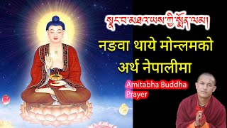 Nangwa Thaye Monlam  Amitabha Buddha Prayer  नङवा थाये मोन्लम।  སྣང་བ་མཐའ་ཡས་སྨོན་ལམ། [upl. by Scarlet]