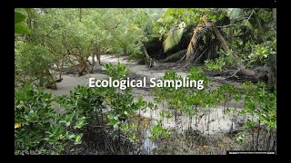 Ecological sampling [upl. by Lamrouex219]