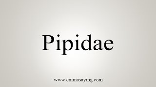 How To Say Pipidae [upl. by Aelrac]