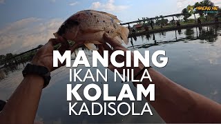 MANCING IKAN NILA DI KOLAM KADISOKA PAKAI PELET LHAB LHEB [upl. by Gard581]