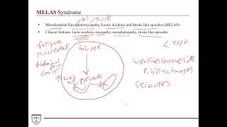 Mitochondrial Diseases Clinical Biochemistry 3 of [upl. by Hasheem]