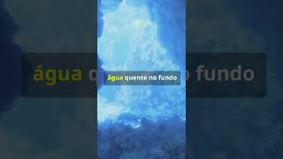 5 CURIOSIDADES SOBRE O FUNDO DO MAR fatoscuriosos shorts factummundi [upl. by Leler488]