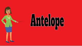 Antelope  Pronunciation  Meanings  Examples  Definition  Animals Name [upl. by Araem]