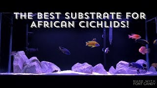 THE BEST SUBSTRATE FOR AFRICAN CICHLIDS  AQUARIUM SANDGRAVEL [upl. by Franky]