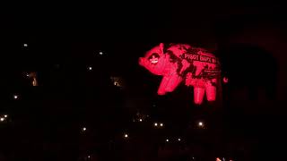 Pink Floyds Roger Waters  Pigs Three different ones live in Budapest [upl. by Razec]