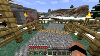 Minecraft Blocks amp Items Fire Charge [upl. by Hajin]