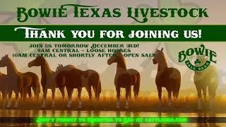 Bowie Texas Livestock December 2nd Catalog Sale [upl. by Siulesoj]