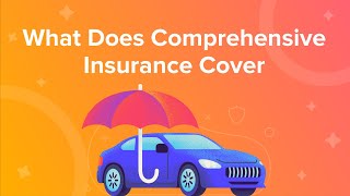 What Does Comprehensive Insurance Cover [upl. by Revorg]