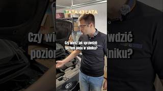 Jak sprawdzić poziom oleju w silniku auto serwis tata Syn edukacja [upl. by Eiliah517]