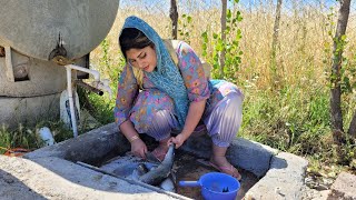 Cooking Beef and Lamb in Iranian village style  My Village Life  Rural family [upl. by Rufena739]