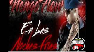 Ñengo Flow Nova y Jory  En las Noches Frias Remix Estreno 2011 [upl. by Darton]