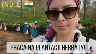 🇮🇳 PRACA w INDIACH Plantacje herbaty w Wayanad eng subs  AgnieszkaMP Vlog [upl. by Joella63]