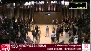 ARQANA  Vente dAoût 2015  REPLAY Day 2 [upl. by Bergh]