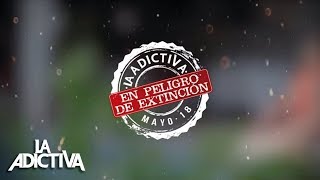 La Adictiva  En Peligro De Extinción Lyric Video [upl. by Ortiz412]