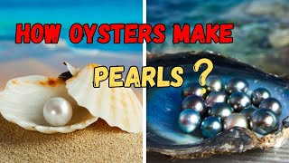 How Oysters Make Pearls  Revealing the secret behind oyester thewwinsight [upl. by Yr763]