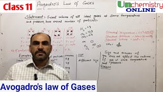 Avogadros law of gases Gaseous state Chemistry class 11 chapter 3 [upl. by Aliac]