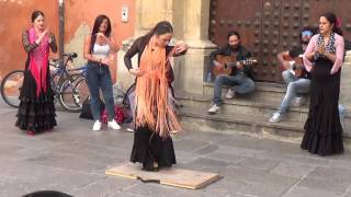 Flamenco dance 5 in Granada 2015 [upl. by Pich]