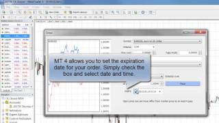 Placing Pending Orders in MT4 [upl. by Lexie]