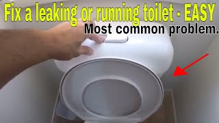 How to fix a leaking running toilet  most common problem [upl. by Leahpar63]