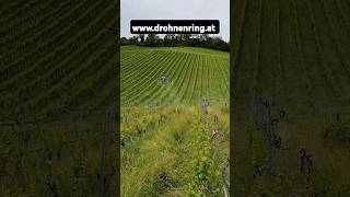 austria Weingarten Obstbäume Drohnenring djiagriculture [upl. by Relyt]