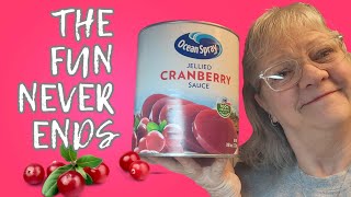 Turning Jellied Cranberry Sauce into Delicious Dehydrated Snacks [upl. by Abil]