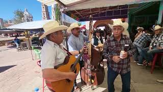 huejuquilla el alto jalisco con los musicos [upl. by Mafalda]