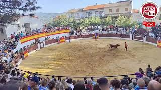 Vídeo resumen Encierros tradicionales Torres de Albanchez 050924 [upl. by Desiree462]