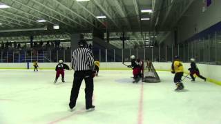 ADMIRALS HOCKEY CLUB V GENEVA CYCLONES  MAY 2014  LEAFS ICE AREANA  720p [upl. by Ettegroeg]