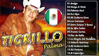 El Tigrillo Palma  Puros Corridos Pesados Mix [upl. by Nohtanoj992]