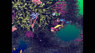 Fish Food Frenzy Bonus amp DK Coins DKC3 [upl. by Stirling]