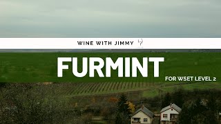 Grape Varieties  Furmint Intermediate Version ideal for WSET Level 2 Wine [upl. by Krischer]