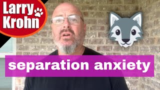 Explaining How To Fix Separation Anxiety With Your Dog [upl. by Anovahs]