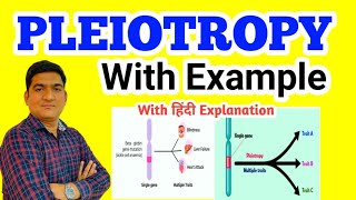 PLEIOTROPY  Principles of Inheritance and Variation pleiotropy genetics [upl. by Jehu]