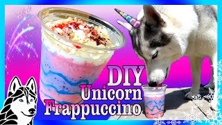 DIY UNICORN FRAPPUCCINO FOR DOGS  DIY Dog Treats  Snow Dogs Snacks 72 [upl. by Gracie]