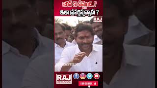 జగన్ కు ఏమైంది ఇలా ప్రవర్తిస్తున్నాడు ytshorts shorts trending apnews jagan ycp rajnews [upl. by Rebmik]